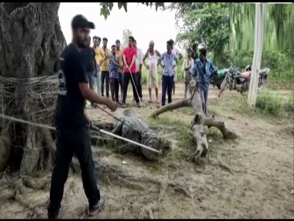 वडोदरा के कोटंबी गांव की घटना वडोदरा के कोटंबी गांव की घटना