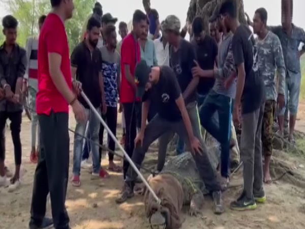 2019 में आई थी ज्यादा आफत 2019 में आई थी ज्यादा आफत