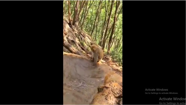 बच्चे को नहलाने का ये वीडियो भी हुआ था वायरल बच्चे को नहलाने का ये वीडियो भी हुआ था वायरल