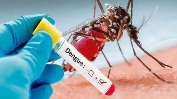 क्या कहते हैं डॉक्टर