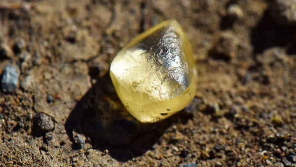 कीमत इतनी कि अंदाजा भी नहीं लगा पाएंगे कीमत इतनी कि अंदाजा भी नहीं लगा पाएंगे