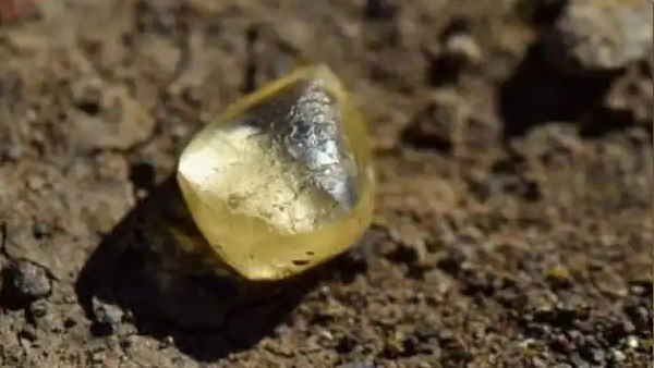 पहली बार इस पार्क में वॉक करने गई थी नोरीन पहली बार इस पार्क में वॉक करने गई थी नोरीन