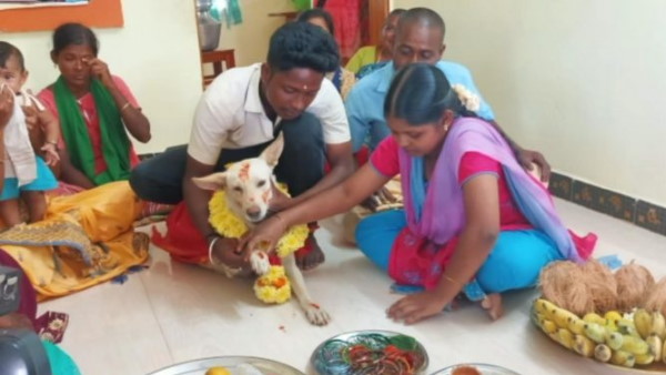 परिवार ने की कुतिया की गोद भराई परिवार ने की कुतिया की गोद भराई