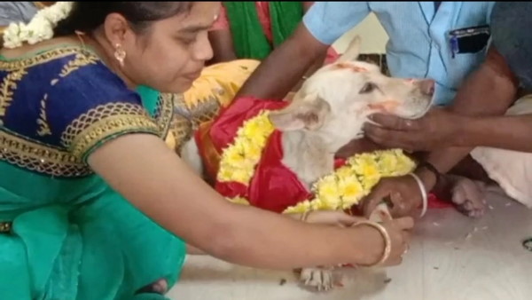 रीति-रिवाज से हुई गोद भराई रीति-रिवाज से हुई गोद भराई