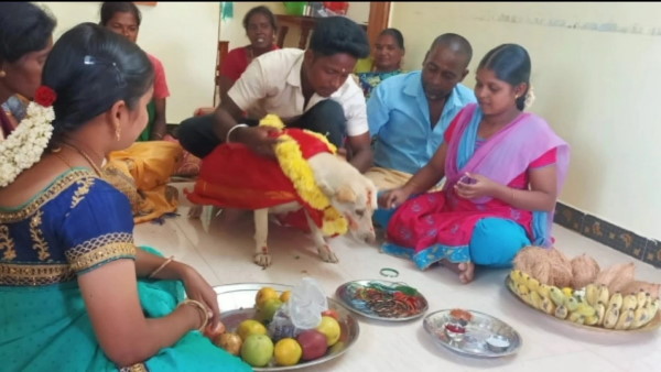 डॉक्टर ने दी खुश खबरी डॉक्टर ने दी खुश खबरी