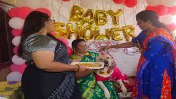 रिश्तेदार भी हुए शामिल रिश्तेदार भी हुए शामिल