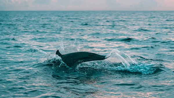 महिला ने बचने की उम्‍मीद ही खो दी थी