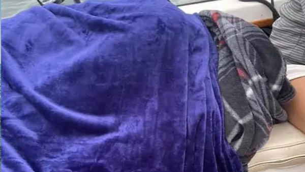 डॉल्फिन का झुंड नहीं होता तो नहीं बचती जान 