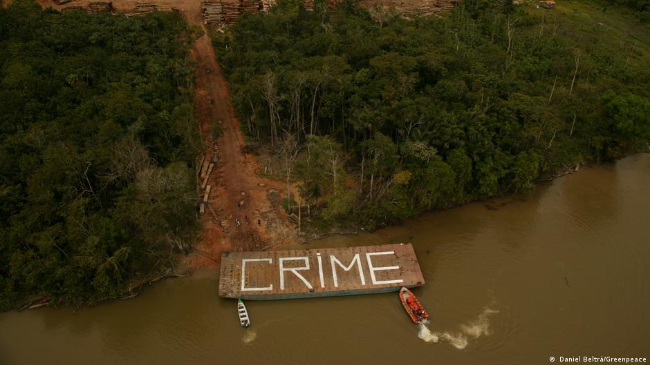 वर्षा वनों को बचाने की जरूरत है