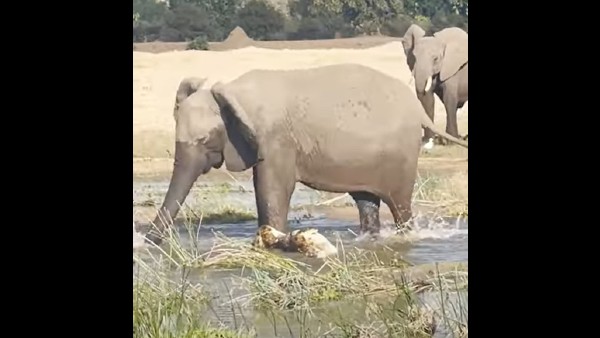 फेसबुक पर शेयर किया वीडियो