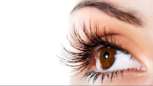 युवक की आंख के नीचे लगी गोली युवक की आंख के नीचे लगी गोली