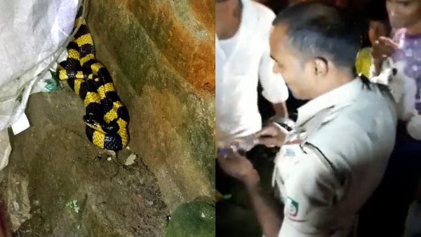 आईएएस अधिकारी ने शेयर किया वीडियो