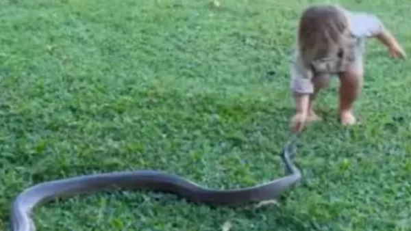 जानें कहां की है ये घटना 