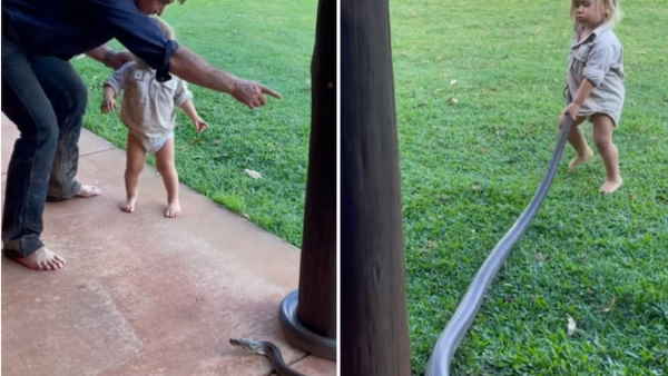 अपनी जान की परवाह किए बिना बच्‍चे ने पिता के कहने पर किया ये काम 