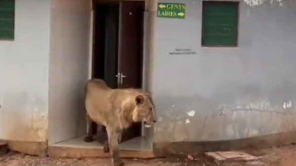 वीडियो देख लोग हैरान वीडियो देख लोग हैरान