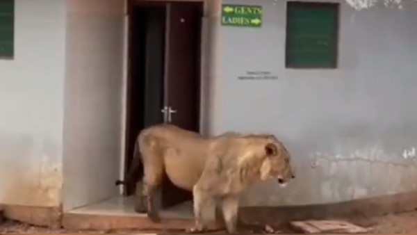 पब्लिक टॉयलेट यूज करने से करें परहेज पब्लिक टॉयलेट यूज करने से करें परहेज