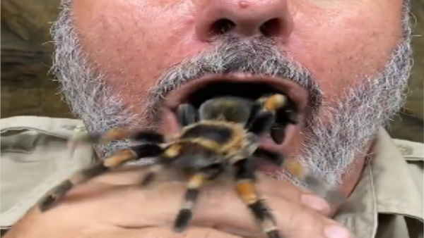 जानें शख्स के मुंह में कैसे पहुंची मकड़ी जानें शख्स के मुंह में कैसे पहुंची मकड़ी