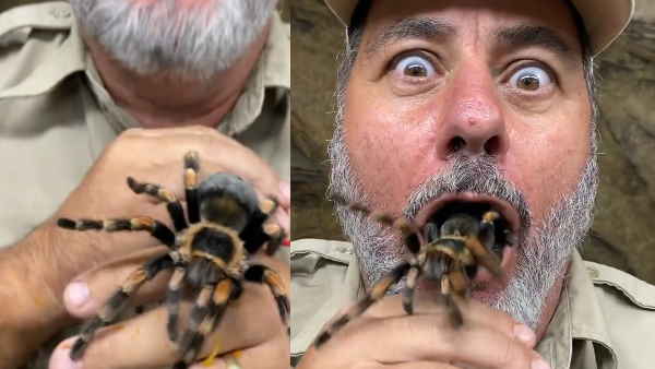 जमकर वायरल हो रहा है ये वीडियो जमकर वायरल हो रहा है ये वीडियो