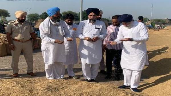 Paddy procurement Paddy procurement