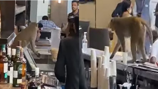 यूजर्स ने दिए जबरदस्त रिएक्शन