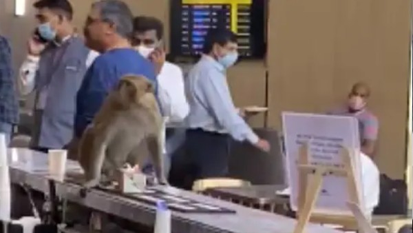 वीआईपी लाउंज में स्पेशल ट्रीटमेंट