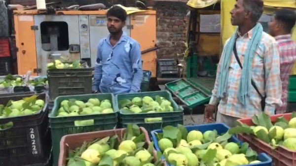 Fruit vendors getting loss in business due to fuel prices hike
