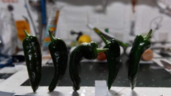 इसलिए ये प्रयोग है जरूरी