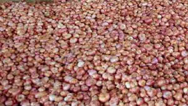 बच्चों और बुजुर्गों को है ज्यादा खतरा