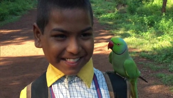 लोगों को पसंद आ रही है तोते और बच्चों की दोस्ती