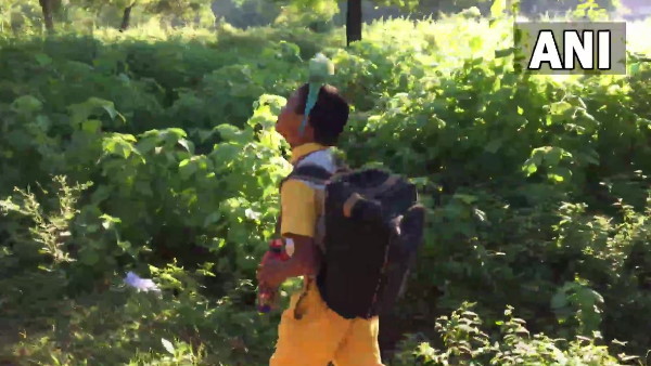 तोते ने बच्चों के साथ कर ली अनोखी दोस्ती