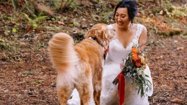 फोटोग्राफर रह गए हैरान