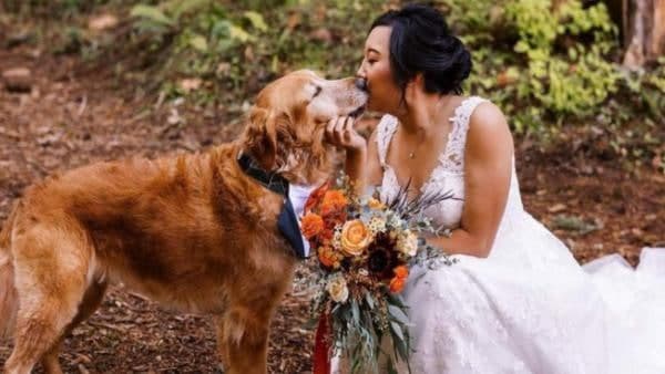 हर सेरेमनी में कुत्ता मौजूद