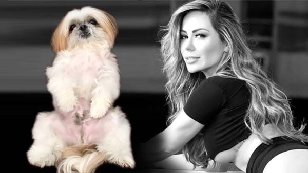 जू इसेन फ्रांसिस्को के नाम करेंगी सारी दौलत जू इसेन फ्रांसिस्को के नाम करेंगी सारी दौलत