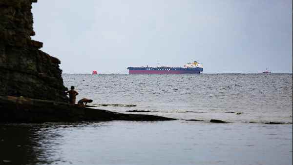 'नया बर्ड फ्लू' सबसे संभावित कारण- एक्सपर्ट