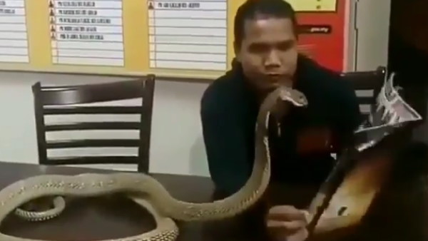 शख्स और सांप के बीच गहरा याराना