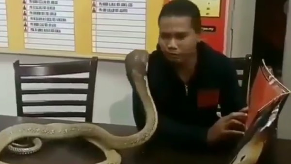 23 हजार से अधिक बार देखा गया वीडियो