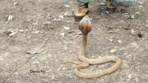 वाघचौरे के पड़ोसी से मिला पहला सुराग