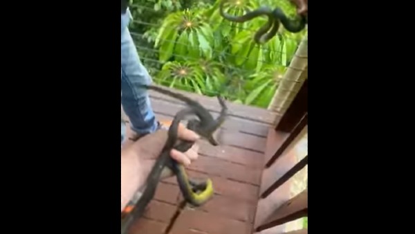 लोगों ने जमकर लिए मजे