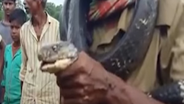 30 मिनट में खेल खत्म