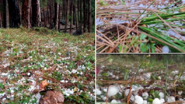 वायरल हो रही हैं तस्वीरें