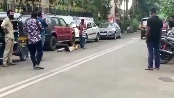 लोग जमकर कर रहे हैं तारीफ 