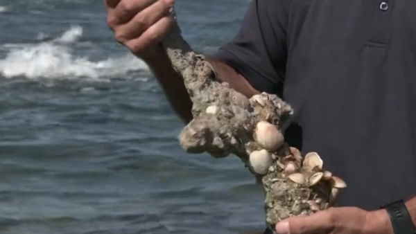 गोताखोर को मिली 900 साल पुरानी ऐसी नायाब चीज 