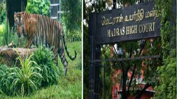 तुरंत मारने की कोशिश ना करें- हाई कोर्ट तुरंत मारने की कोशिश ना करें- हाई कोर्ट