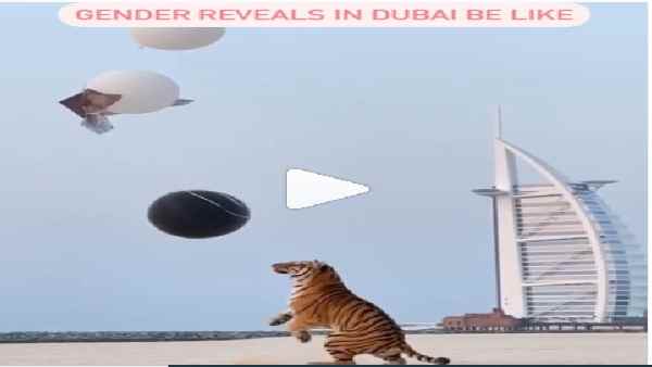 दुबई में 'जंगली' तरीके से बच्चे के जेंडर का खुलासा दुबई में 'जंगली' तरीके से बच्चे के जेंडर का खुलासा