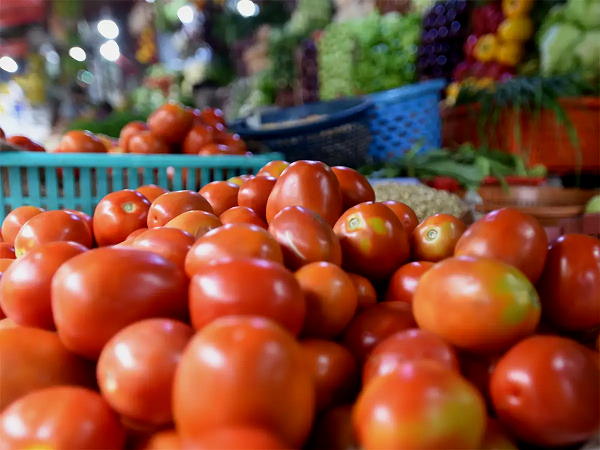 Tomato price Tomato price