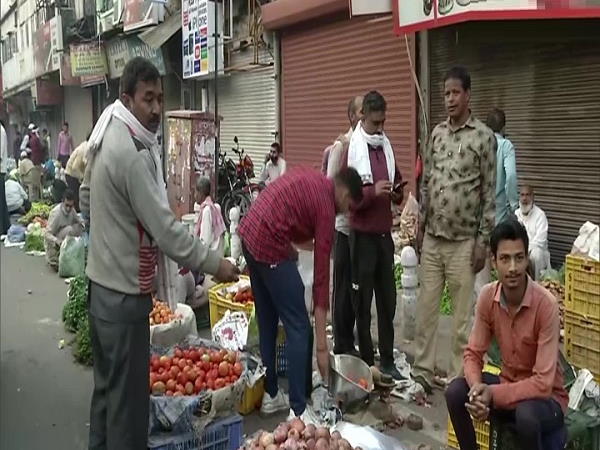 Tomato price Tomato price