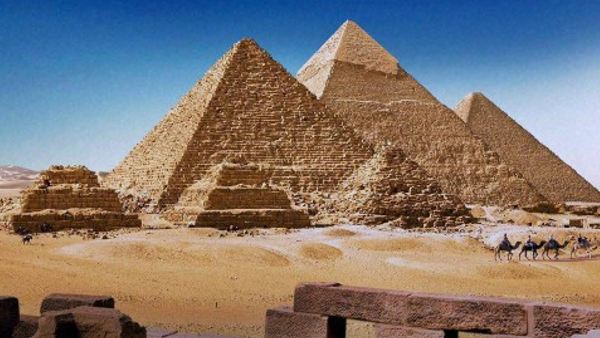 सजावट के तौर पर खरीदा