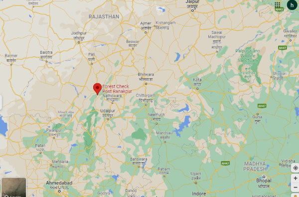  पिंक पैंथर सबसे पहले साउथ में नजर आया