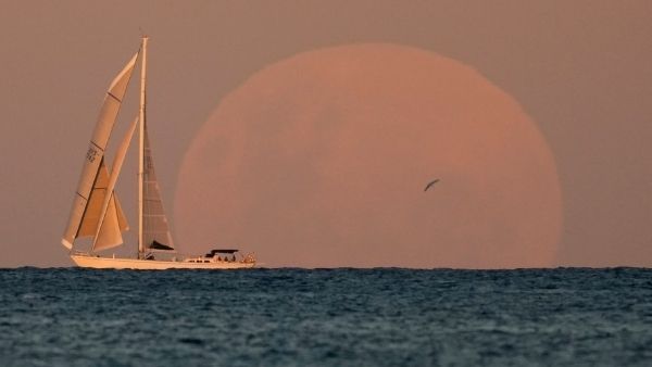 दूर जा रहे हैं चंदा मामा