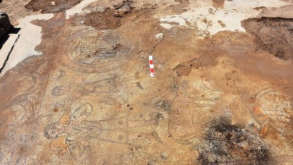 इंसानों के विकास की जानकारी